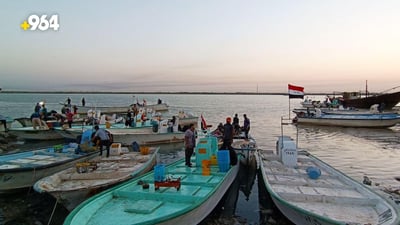 صور من مرسى النقعة.. قائمة صباحية بأسعار السمك في مزاد الفاو لهذا اليوم