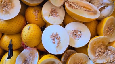 نزیکەى 11 تۆن کاڵەکى نەشیاو دەستى بەسەرداگیرا