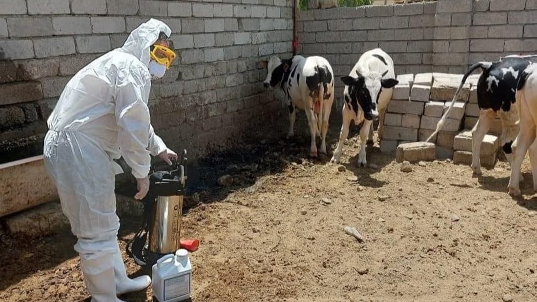 الموصل تسجل إصابة جديدة بالحمى النزفية.. الحصيلة النهائية 6 من مربي المواشي