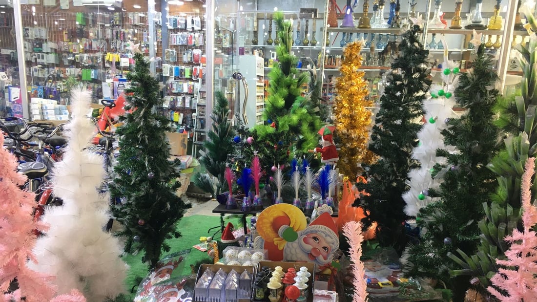 أبو الخصيب تحتفل مبكرا.. أشجار “كريسماس” تملأ الشوارع وأسعارها ترتفع (صور)