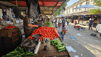 نرخی تەماتە هەرزانە بەڵام خەیار بەناجێگیری ماوەتەوە