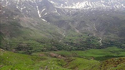 Qandil municipality tightens control on illegal logging