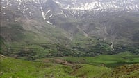 Qandil municipality tightens control on illegal logging
