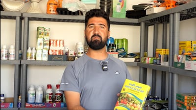 سنجار تسأل كثيراً عن النعناع.. لماذا خضروات السوق أفضل من زراعة البيت؟