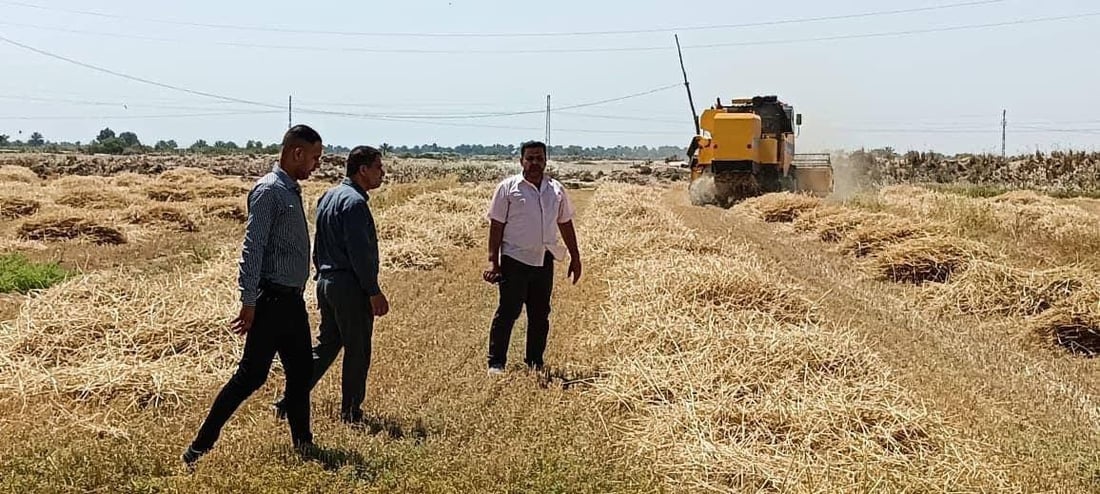 تسليم الصكوك فوراً وتسهيلات بالجملة.. بابل “تدلل” المزارعين هذا الموسم (صور)