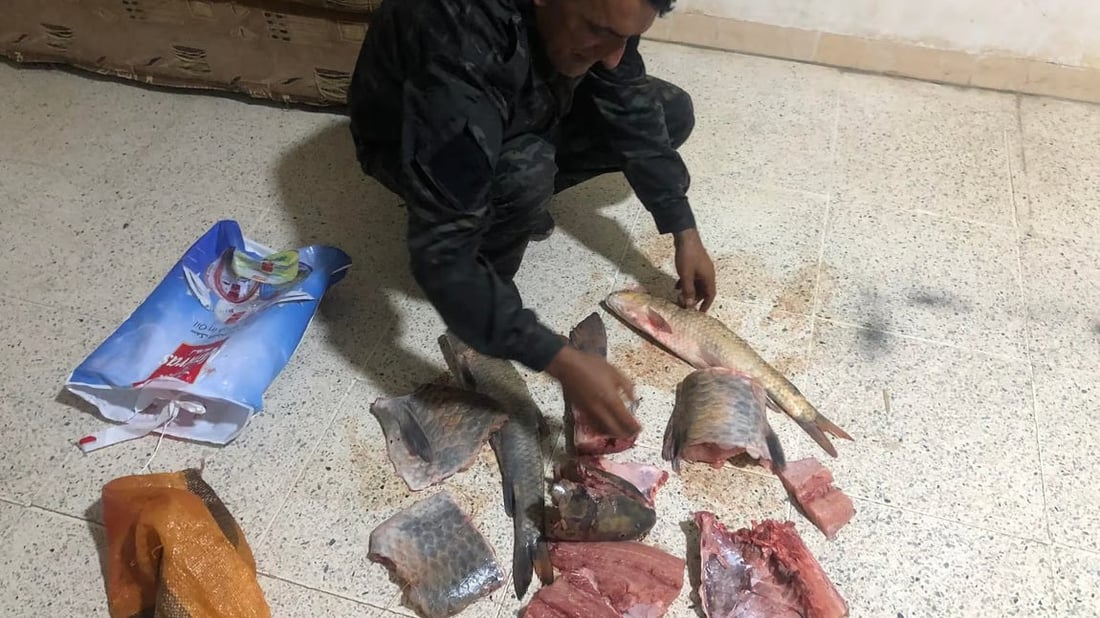 شرطة الغابات تعتقل 3 صيادين وتصادر 25 شبكة صيد في بحيرات السليمانية