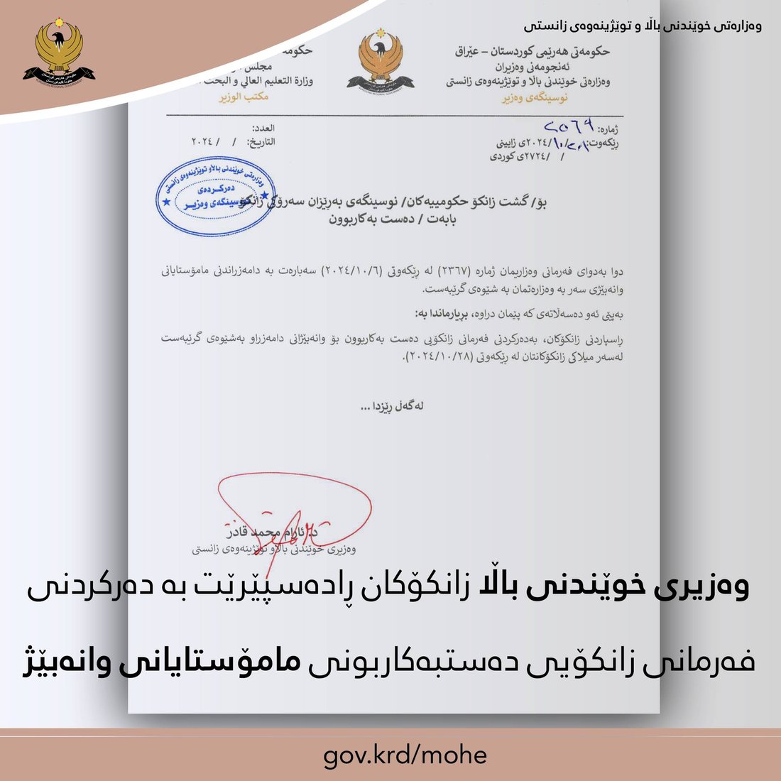 +964صورة من منصة (شبكة): 