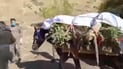 تەرمێکی بێناسنامە لە شاخەکانی خورماڵ دۆزرایەوە