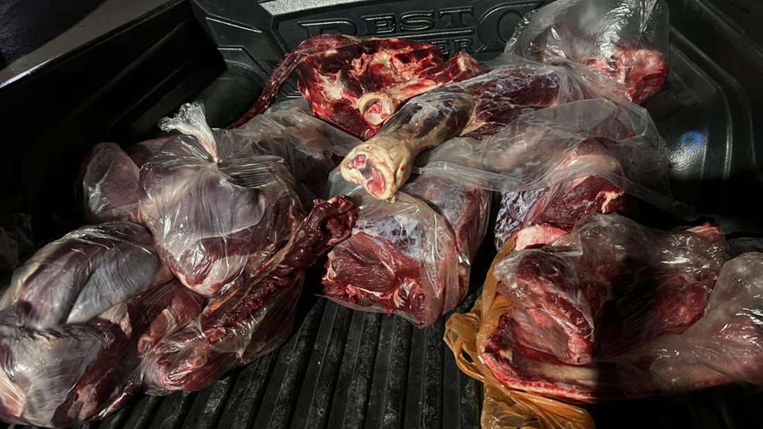 گۆشتی رەشەوڵاخێکی بۆگەنبوو دەستی بەسەرداگیرا و لەناوبرا