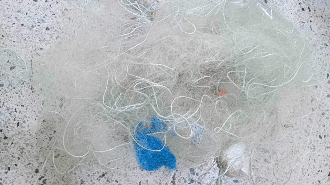 له‌ دووه‌م رۆژى قه‌ده‌غه‌ى راوەماسیدا دوو هاوڵاتى ده‌ستگیركران