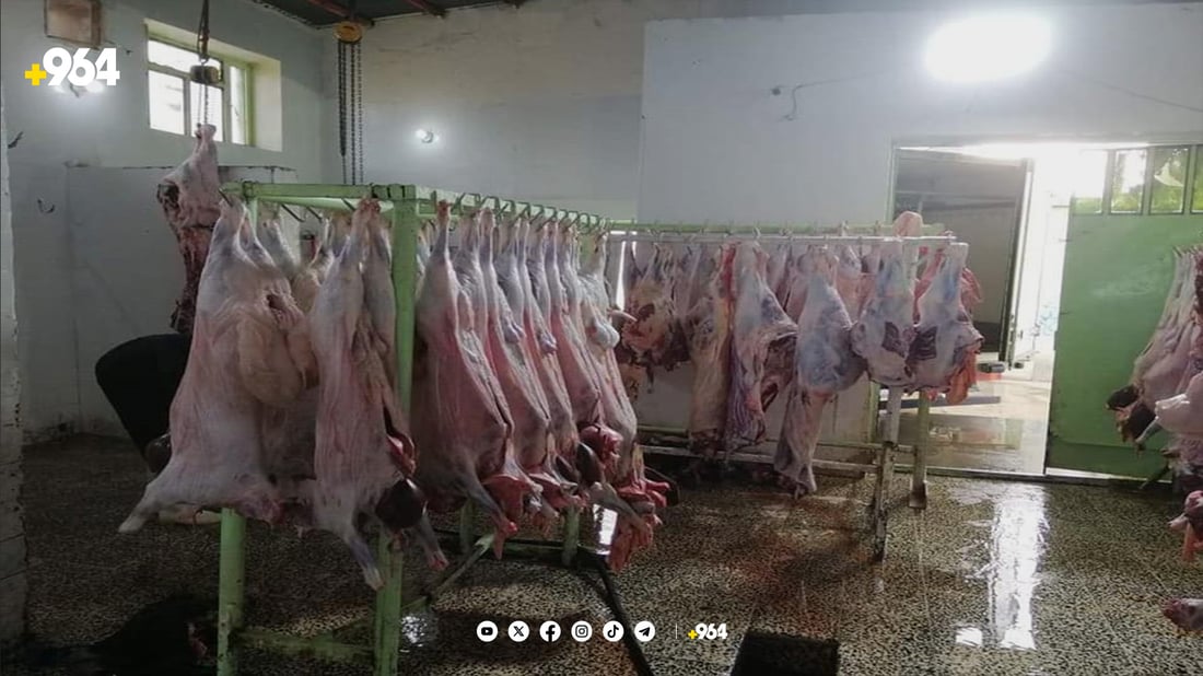 لە سەیدسادق زیاتر لە 13 هەزار ئاژەڵ و پەلەوەر سەربڕدراون