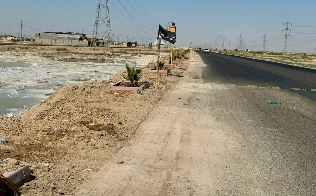 نخيل “أبو جهل” يثير انتقادات شمال البصرة ضد البلدية (صور)