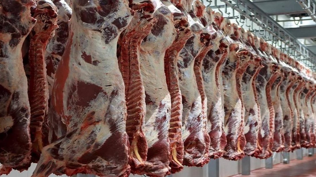 Iraq agriculture ministry sets 21-day quarantine for imported livestock