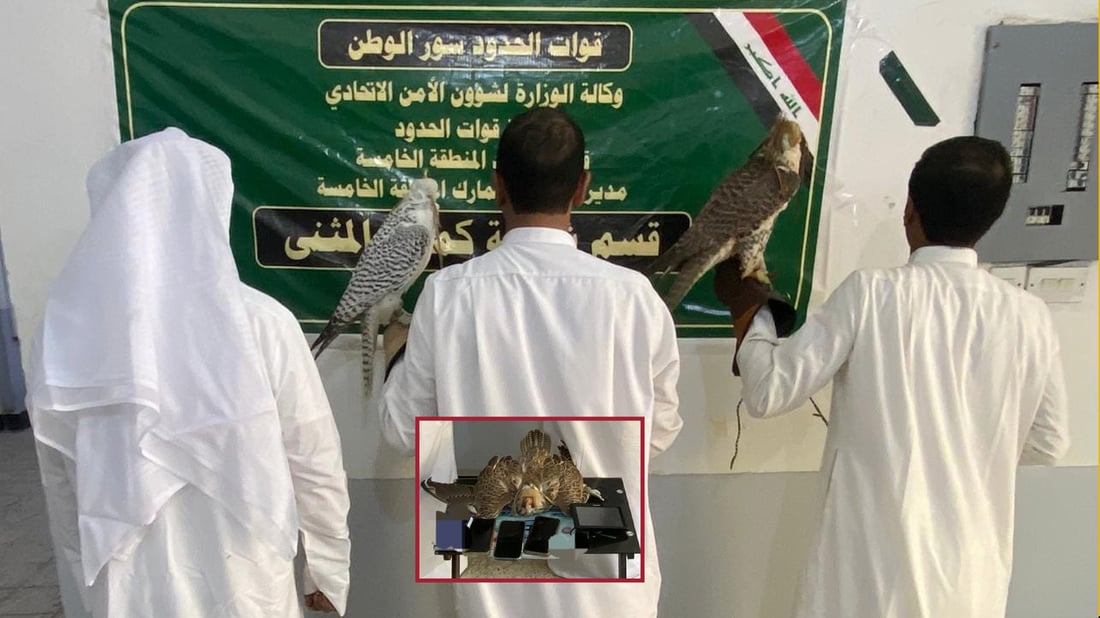 CPT: توركیا دەستی بە بڕین و گواستنەوەی دارستانەکانی ئامێدی كردووه‌