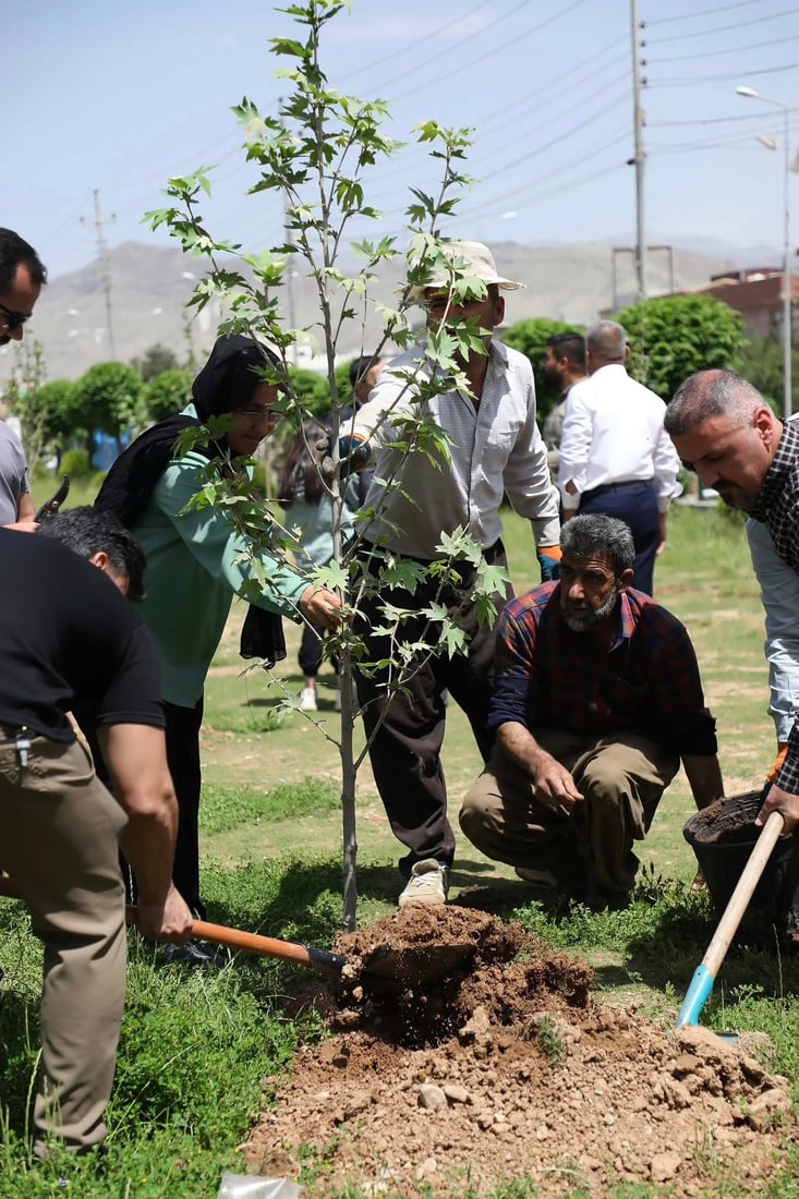 لە رێگەی چاندنی نەمامەوە رێز لە کۆچکردووان دەگرن