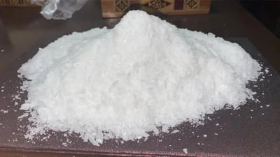 Anti-drug force dismantles international trafficking network