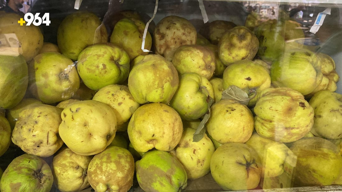 أفضل هدية للحوامل.. السفرجل الكربلائي رخيص وطازج في أسواق الناصرية (صور)