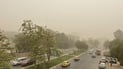 Basra to hit 50°C on Monday as heatwave scorches Iraq