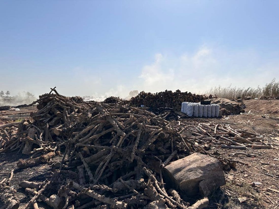 الشوي على خشب حمضيات ديالى ليس كغيره.. الفحامة في أفضل حال والمنتوج إلى البصرة