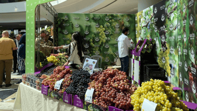 18ـیەمین فێستیڤاڵی ترێ و هەنگوین لە دهۆک بەڕێوەدەچێت