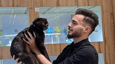 كركوك: كاميرا 964 في أول منتجع احترافي للقطط والكلاب والطيور.. خدمات مجانية