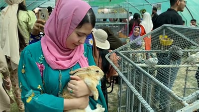 فيديو: طلبة كفري يطورون تقنيات الزراعة.. بيض أسود وشطب للكيمياويات من الأغذية