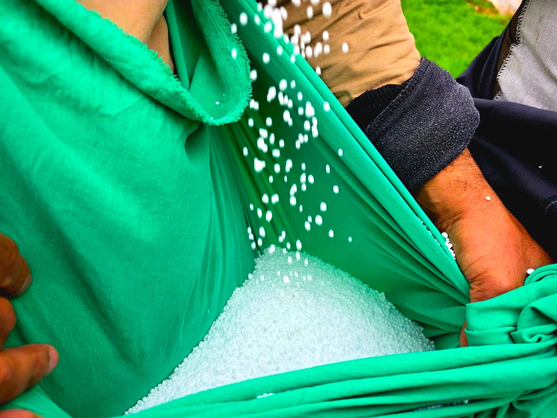 بارانی زۆر بەشێکی گەنمی جوتیارانی شارەزووری زەرد هەڵگەڕاندووە