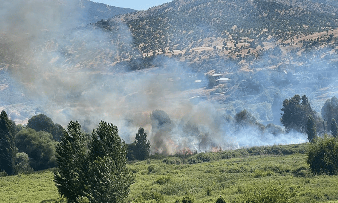 20 دۆنم زەوی لە سنووری مێرگەسوور سووتا