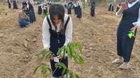 فيديو : طالبات الموصل يكتبن رسائل فلسطين على شتلات الزي...