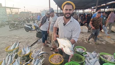 لا صبور بعد اليوم في مزاد الفاو.. وقوارب الصيد تعود من البحر بأسماك نادرة (فيديو)