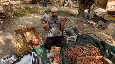 انتهى الصيف وبدأ كبس التمور لكن البصرة أدخلت هذا الجهاز المريح!