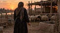 ذبح عروس داخل حظيرة أغنام بعد يومين من زفافها.. الجانية اعترفت أخيراً