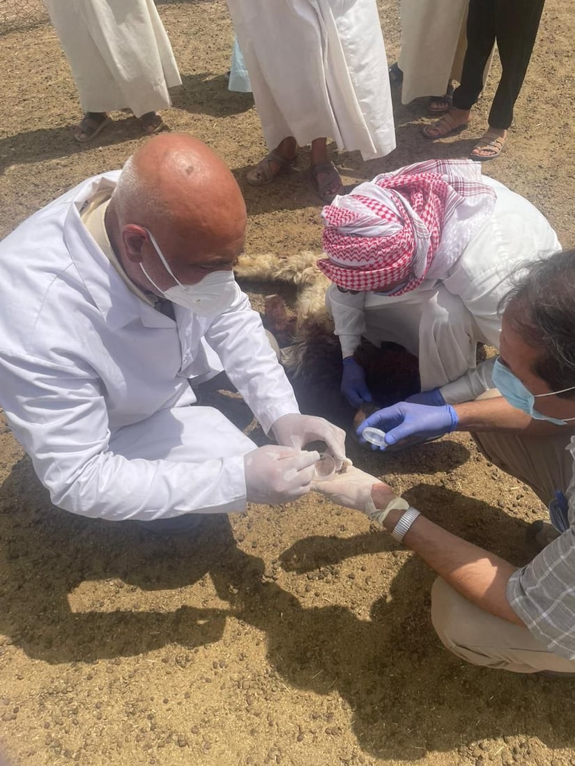 یه‌كه‌م حاڵه‌تى گیان له‌ده‌ستدان به‌هۆى تای خوێنبەربون له‌كه‌ركوك تۆمار كرا