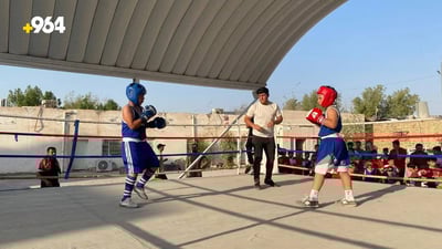 Thi-Qar boxing union organizes youth and junior championship