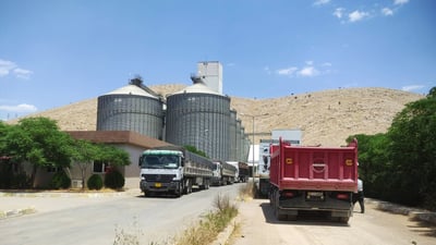 ئەمڕۆ لە سلێمانی و راپەڕین پارەی گەنمی جوتیاران دابەشدەکرێت