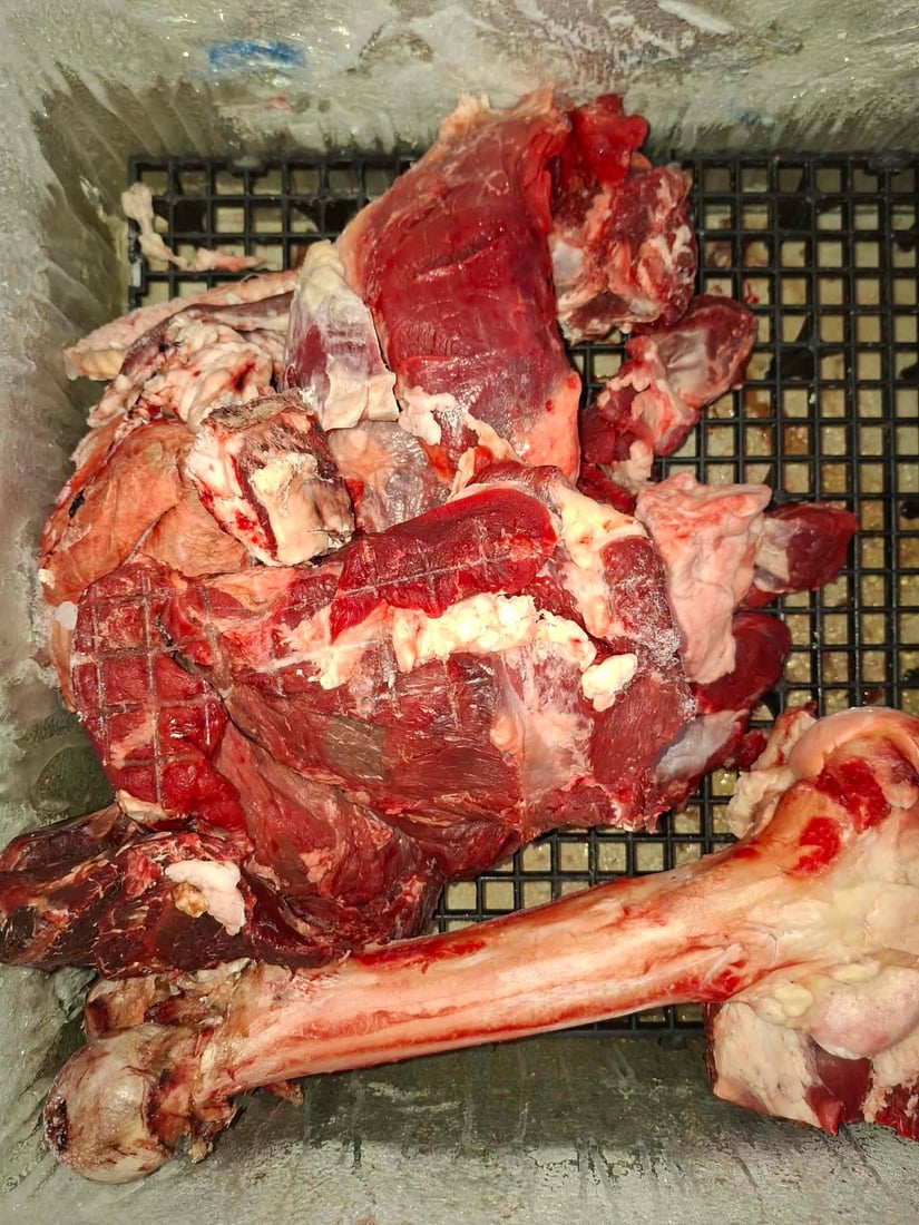 لە چەمچەماڵ سێ قەسابخانە داخران و شوێنێکیش سزا درا