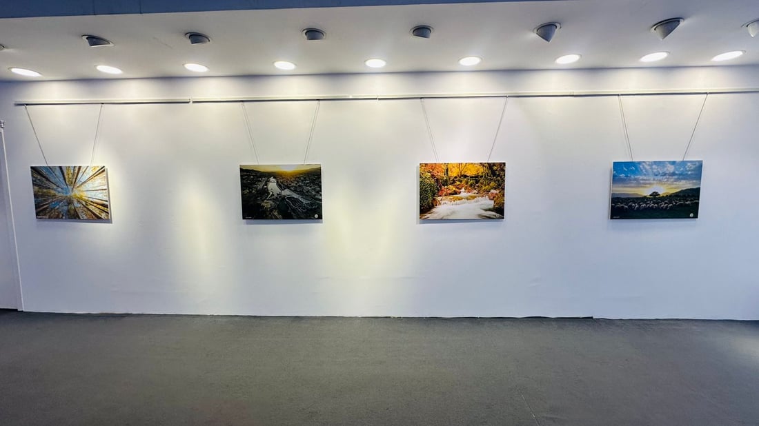 بە 50 وێنە فۆتۆگرافەرەکان سیمای کوردستان نمایشدەکەن