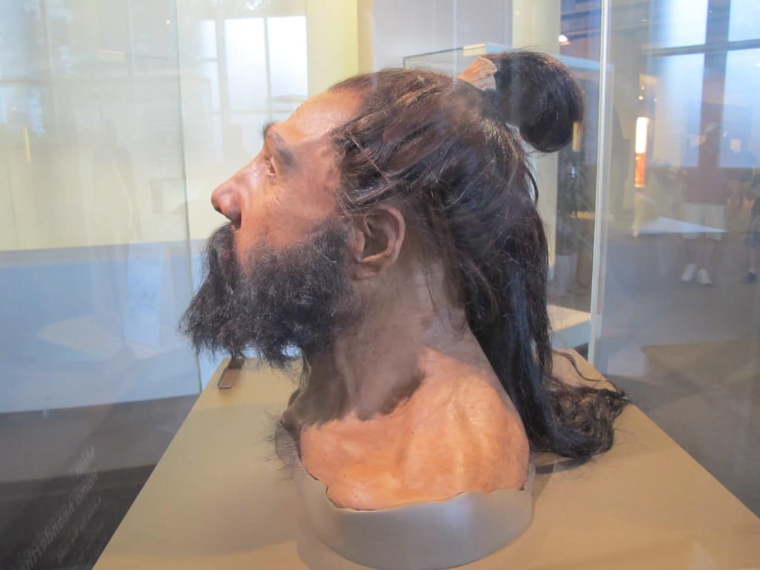 60 ساڵ لەمەوبەر کەللەسەرێکی دیکەی مرۆڤی نیاندرتاڵ دروستکراوەتەوە