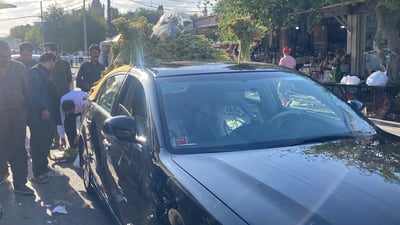 بە ئەڤەلۆن رێواس دەفرۆشێت