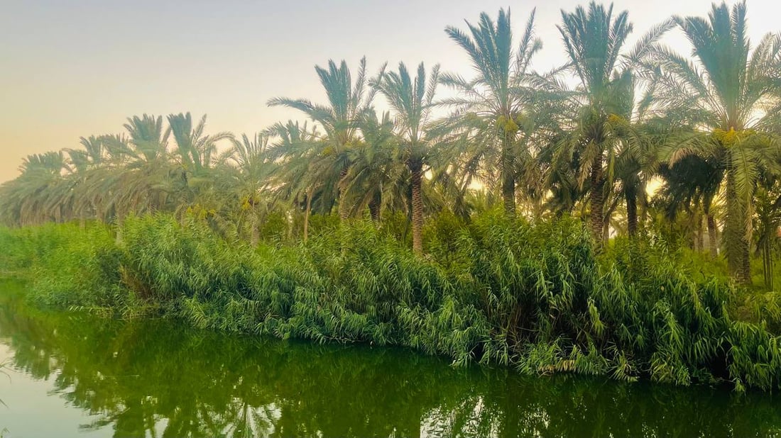 صور من روعة الطبيعة شمال البصرة.. السفرات تبدأ إلى نهر الداير مع برودة الطقس