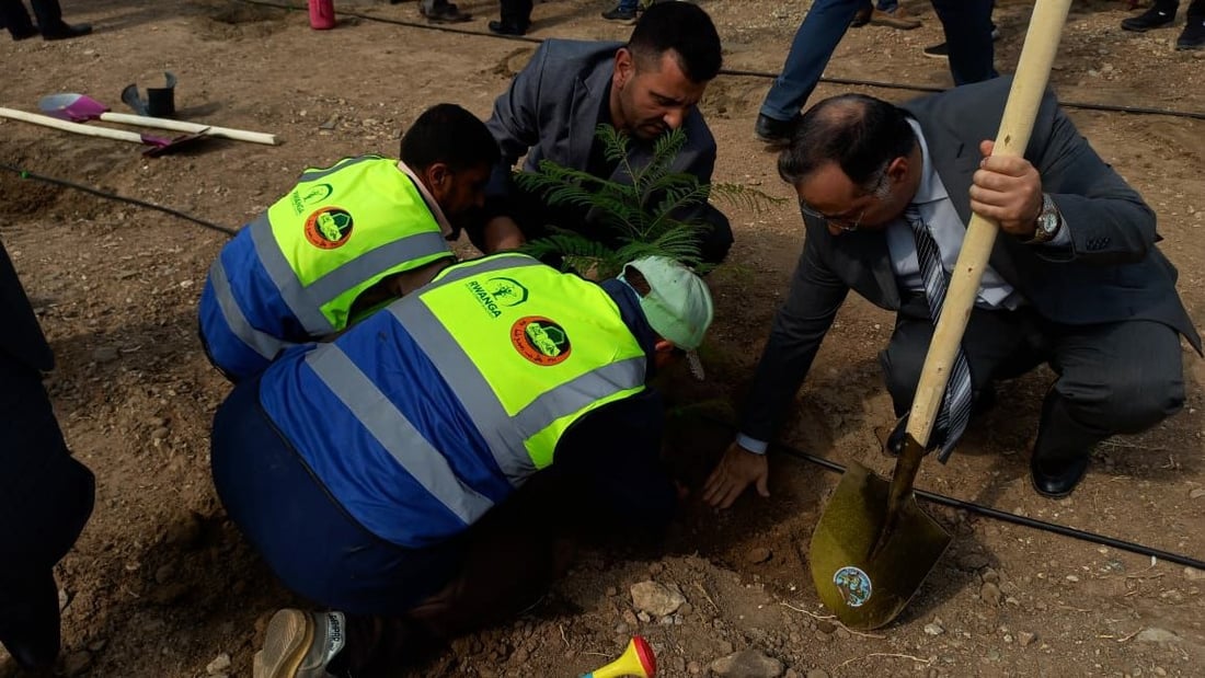 حملة واسعة لتشجير شوارع الموصل بـ2000 شتلة (صور)