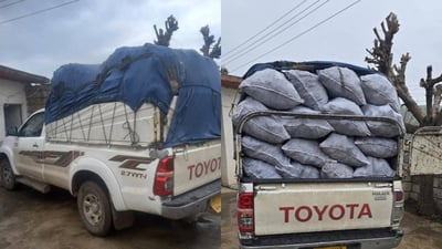 هاوڵاتیەک دەستگیرکرا و 40 فەردە خەڵوزیش دەستیبەسەردا گیرا