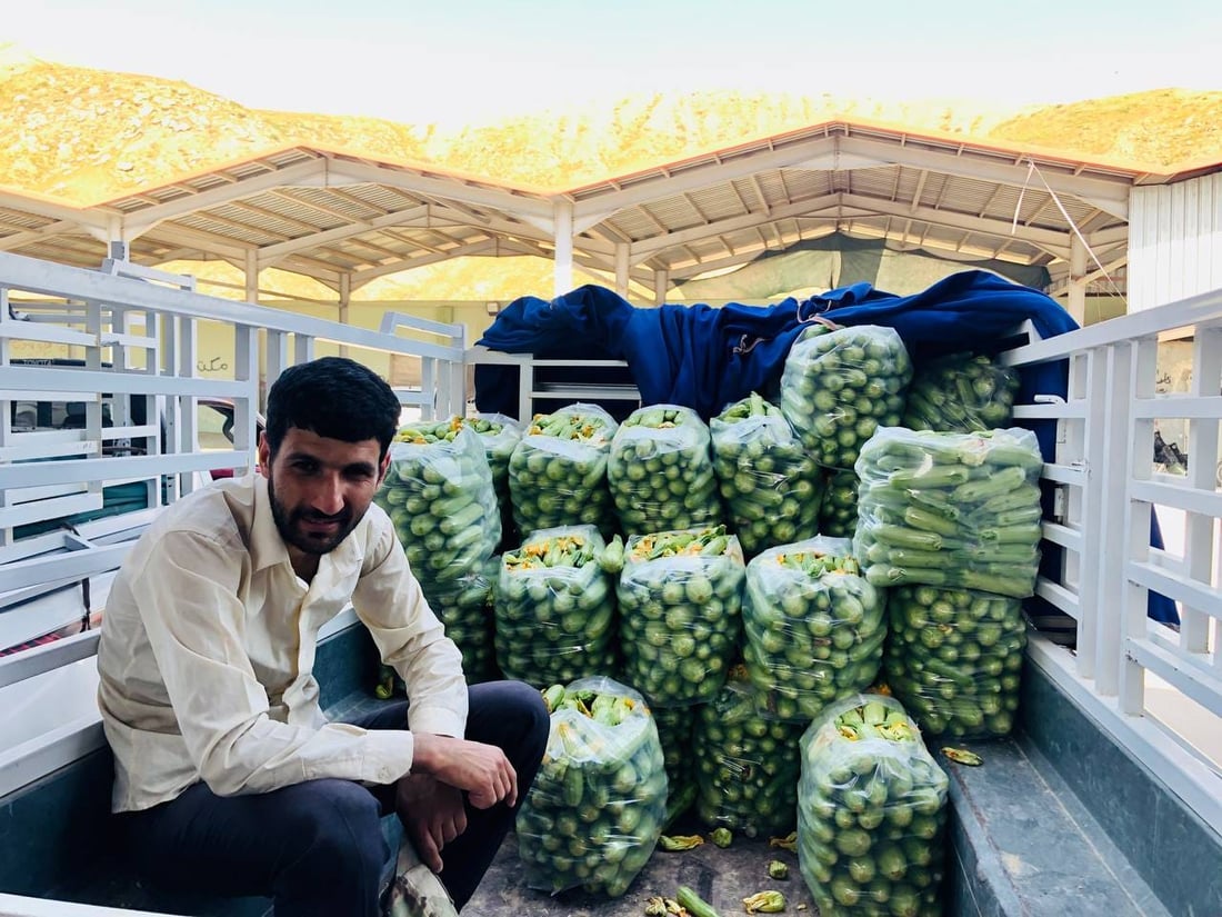 عه‌لوه‌ى ته‌قته‌ق پڕ له‌ به‌رهه‌مى خۆماڵى جوتیاران بووە