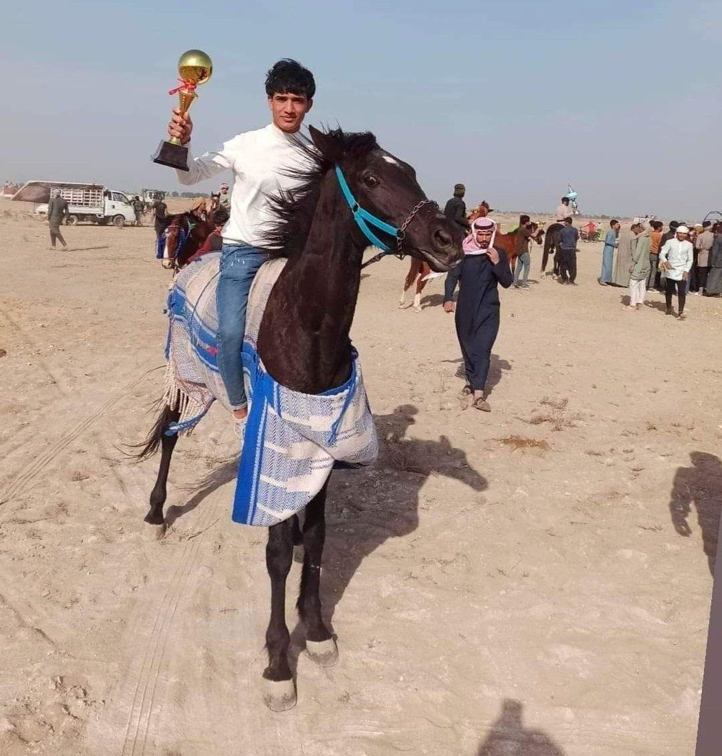 الزلزال والجنرال للقوة والسحر.. موجة ولع بالخيول تجتاح العراق وشهادات من السماوة