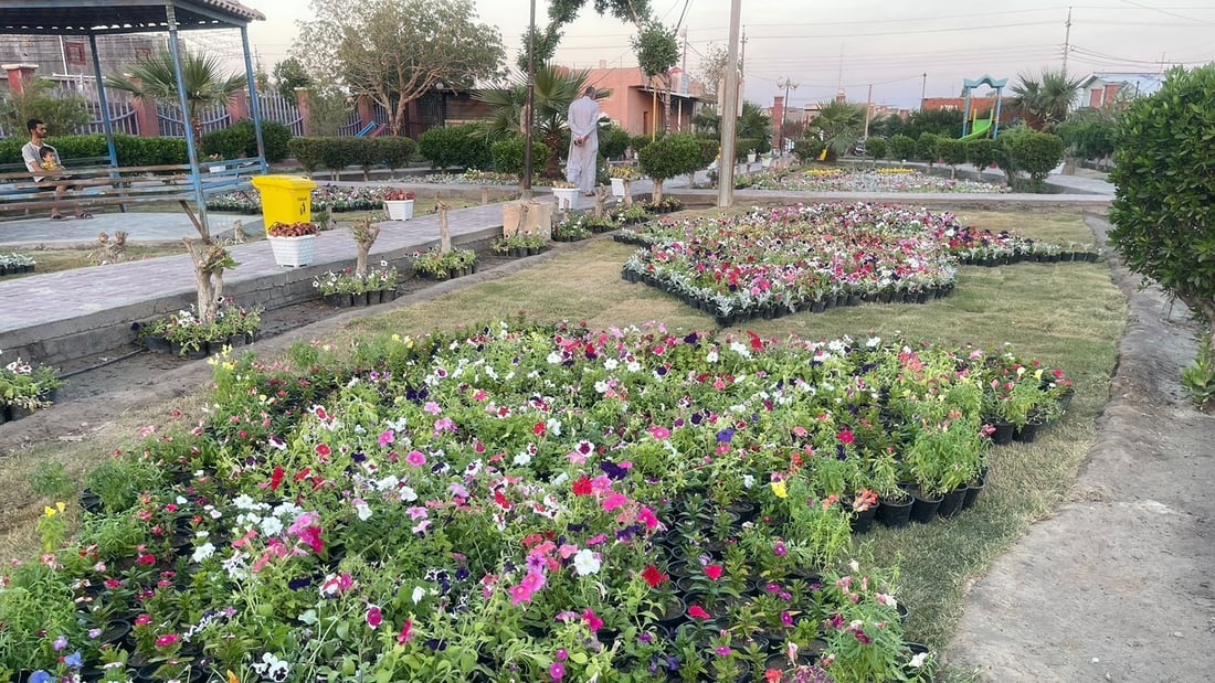 البصرة تقدّم 20 ألف وردة من السناريا والرازقي لعيد الفطر