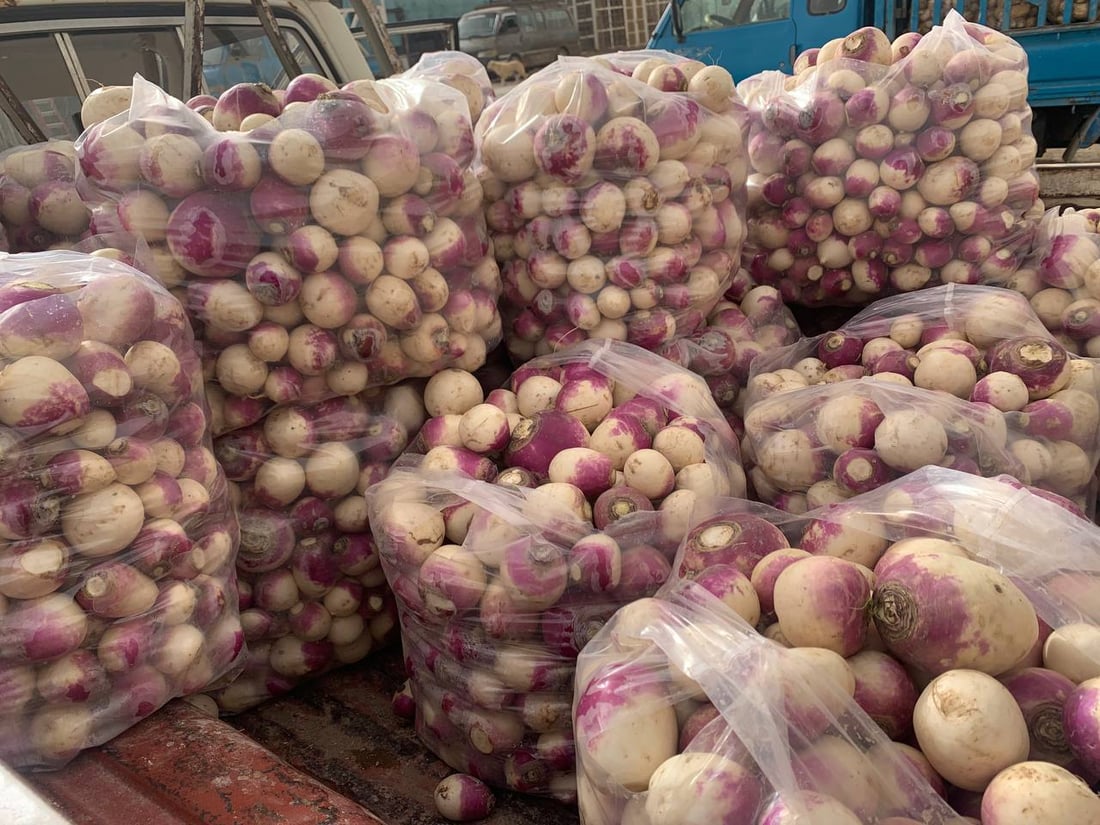 أبو غريب: انخفاض أسعار الشلغم إلى النصف.. والبطاطا أول الأسباب