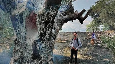 لە دوێنێوە گوندی بەڵاڤە دەسوتێت و چەندین داری 100 ساڵە لەنێوچوون