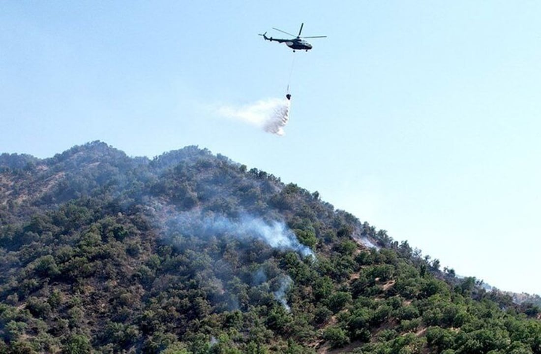 دارستانەکانی سنووری باشماخ ئاگریان گرت