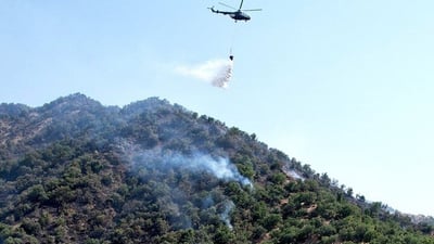 دارستانەکانی سنووری باشماخ ئاگریان گرت