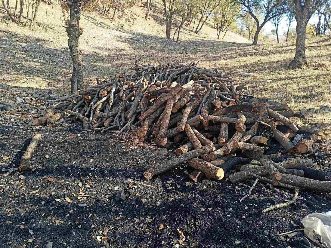 لەناو بەیتی پلاستیکی خەڵوزی دروست دەکرد؛ پێیان زانی